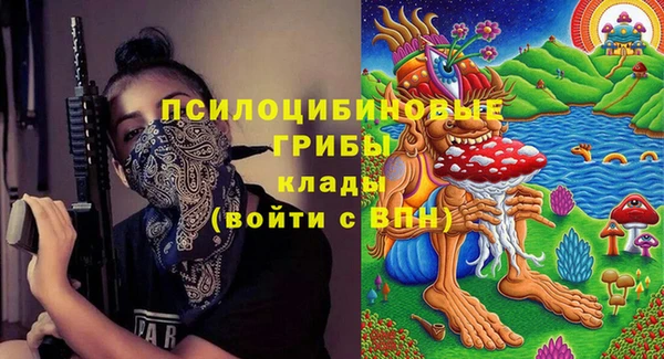 дживик Белоозёрский